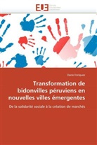 Dario Enriquez, Enriquez-D - Transformation de bidonvilles