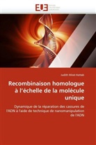 Judith Miné-Hattab, Minehattab-J - Recombinaison homologue a l