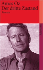 Amos Oz - Der dritte Zustand
