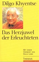 Dilgo Khyentse, Dilgo Khyentse Rinpoche - Das Herzjuwel der Erleuchteten