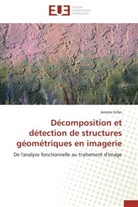 Jerome Gilles, Gilles-J - Decomposition et detection de