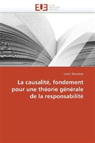 Cédric Beaudeux, Beaudeux-C - La causalite, fondement pour une