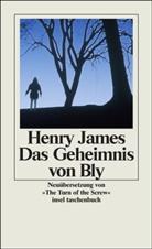 Henry James - Das Geheimnis von Bly