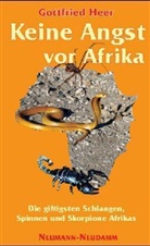 Gottfried Heer - Keine Angst vor Afrika