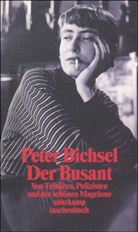 Peter Bichsel - Der Busant