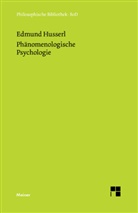 Edmund Husserl, Diete Lohmar, Dieter Lohmar - Phänomenologische Psychologie