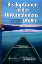 Ulrich Hommel, Marti Scholich, Martin Scholich, Robert Vollrath - Realoptionen in der Unternehmenspraxis