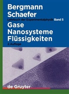 Ludwig Bergmann, Clemens Schaefer, Kar Kleinermanns, Karl Kleinermanns - Lehrbuch der Experimentalphysik - Band 5: Gase, Nanosysteme, Flüssigkeiten