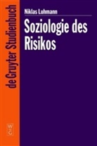 Niklas Luhmann - Soziologie des Risikos