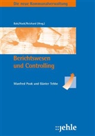 Manfred Pook, Günter Tebbe - Berichtswesen und Controlling