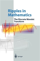 Anders la Cour-Harbo, Jensen, A Jensen, A. Jensen, Arne Jensen, A. La Cour-Harbo - Ripples in Mathematics