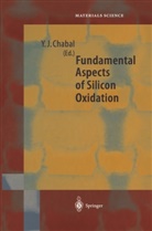 Y. Chabal, Yves J. Chabal, Yve J Chabal, Yves J Chabal - Fundamental Aspects of Silicon Oxidation