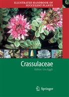 Ur Eggli, Urs Eggli, Heidrun E. K. Hartmann - Illustrated Handbook of Succulent Plants: Crassulaceae