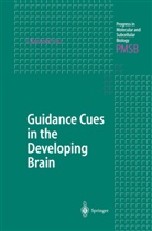 I. Kostovic, Ivic Kostovic, Ivica Kostovic - Guidance Cues in the Developing Brain