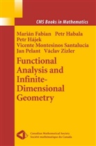 Maria Fabian, Marian Fabian, Pet Habala, Petr Habala, Petr Hajek, Petr et al Hajek... - Functional Analysis and Infinite-Dimensional Geometry