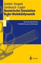 Attila Caglar, Michae Griebel, Michael Griebel, Stepha Knapek, Stephan Knapek, Gerhard Zumbusch - Numerische Simulation in der Moleküldynamik