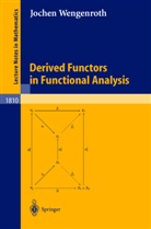 J. Wengenroth, Jochen Wengenroth - Derived Functors in Functional Analysis