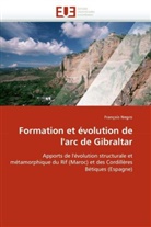 François Negro, Negro-F - Formation et evolution de l arc