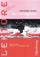 Claudia Lorenz, Theodo Storm, Theodor Storm, LOREN, Claudia Lorenz, Schachtmeye... - Theodor Storm 'Der Schimmelreiter'