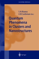 A. W. Castleman, Albert W Castleman, Albert W. Castleman, S. N. Khanna, Shiv N. Khanna, Shi N Khanna... - Quantum Phenomena in Clusters and Nanostructures