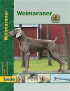 Lavonia Harper - Weimaraner