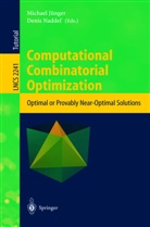 Michael Juenger, Michae Jünger, Michael Jünger, Naddef, Naddef, Denis Naddef - Computational Combinatorial Optimization