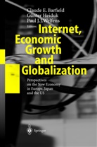 C. E. Barfield, Claude E. Barfield, Günter Heiduk, Günter S. Heiduk, Paul J J Welfens, Günte S Heiduk... - Internet, Economic Growth and Globalization