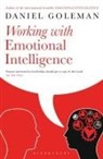 Daniel Goleman, Goleman Daniel - Working with Emotional Intelligence