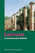 Helmu Schlüter, Helmut Schlüter, Kurt Steinicke, Jutt Schweigert, Jutta Schweigert - Latinum: Latinum. Grammatisches Beiheft