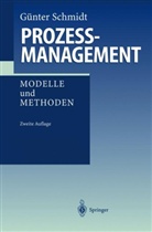Günter Schmidt - Prozeßmanagement