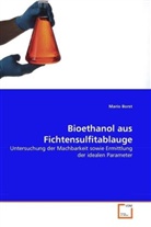 Mario Borst - Bioethanol aus Fichtensulfitablauge