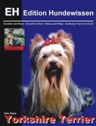 Dirk Glebe - Yorkshire Terrier