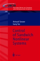 Gang Tao, Avinas Taware, Avinash Taware - Control of Sandwich Nonlinear Systems