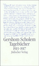 Gershom Scholem, Karlfried Gründer, Herber Kopp-Oberstebrink, Herbert Kopp-Oberstebrink, Friedrich Niewöhner - Tagebücher - 1: 1913-1917