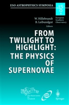 W. Hillebrandt, Wolfgang Hillebrandt, Leibundgut, B. Leibundgut, Bruno Leibundgut - From Twilight to Highlight: The Physics of Supernovae