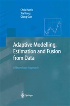 Q. Gan, Qiang Gan, C. Harris, Chri Harris, Chris Harris, X. Hong... - Adaptive Modelling, Estimation and Fusion from Data