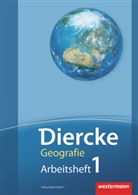 Martin Essig, Philipp Flury, Dora Frey-Auf der Maur, Stefan Hauri, Salomé Held, Louise Lin... - Diercke Geographie Schweiz - 1: Arbeitsheft