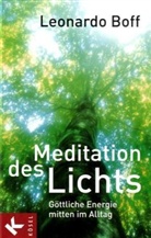 Leonardo Boff - Meditation des Lichts