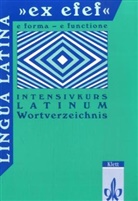 Hermann Schmid - Lingua Latina 'ex efef': Lingua Latina "ex efef". e forma - e functione
