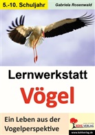 Gabriela Rosenwald - Lernwerkstatt Vögel