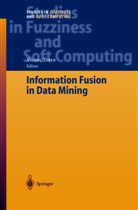 Prof Vicenç Torra, Prof. Vicenç Torra, Vicenç Torra, V. Torra, Vicenç Torra - Information Fusion in Data Mining