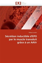Thibaut Larcher, Larcher-T - Secretion inductible d epo par le