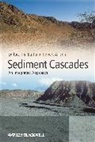 Robert Allison, Tim Burt, Tim (Durham University Burt, Tim (EDT)/ Allison Burt, Tim Allison Burt, Allison... - Sediment Cascades