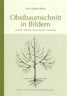 Hans W Riess, Hans W. Riess, Hans Walter Riess, Walter Riess - Obstbaumschnitt in Bildern