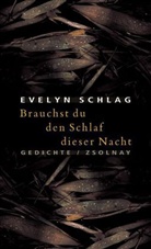 Evelyn Schlag - Brauchst du den Schlaf dieser Nacht