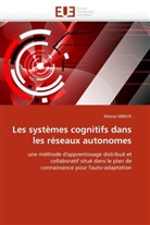 Maïssa Mbaye, Mbaye-M - Les systemes cognitifs dans les
