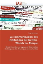Serge Banyongen, Banyongen-S - La communication des institutions