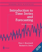Brockwel, Peter Brockwell, Peter J. Brockwell, DAVIS, Richard A Davis, Richard A. Davis - Introduction to Time Series and Forecasting