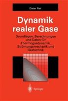 Dieter Rist - Dynamik realer Gase