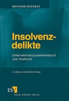 Judith Diversy, Raimund Weyand - Insolvenzdelikte